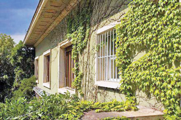 Зелени зидни слап